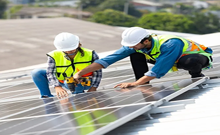 速看，這所2W人高校如何利用暑期，快速搭建綠色校園